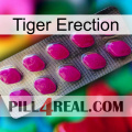 Tiger Erection 09